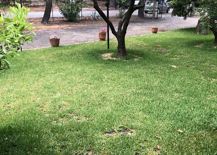 Nakis 拉戈曼德拉